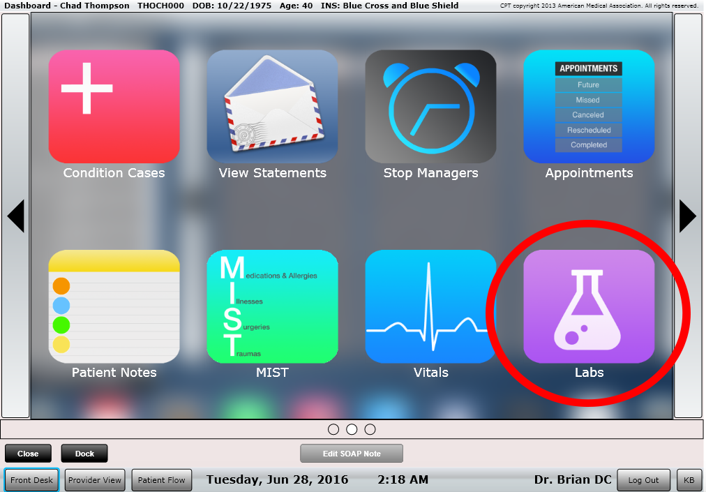 ChiroSpring Makes Entering Lab Data Easy!