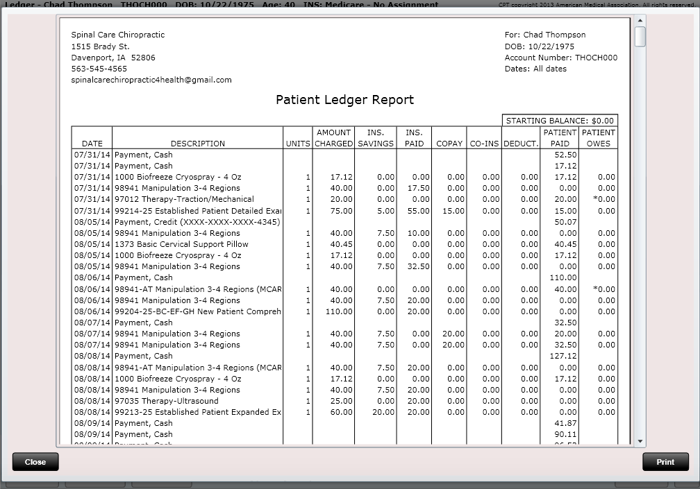 ChiroSpring Print the Ledger