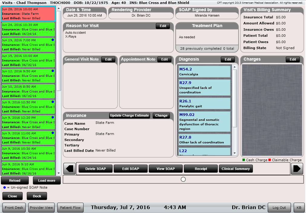 ChiroSpring All Visit Information At A Glance